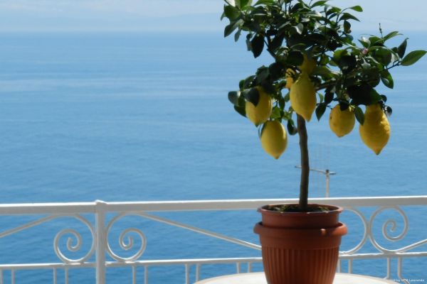 Holiday (Praiano)